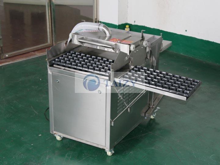 2BXP-500 nursery seeding machine