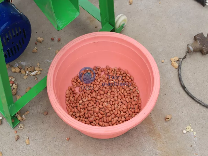 finished groundnut show